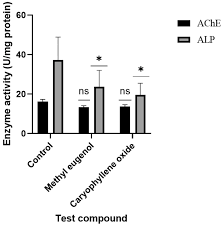Image result for Endostemon tereticaulis