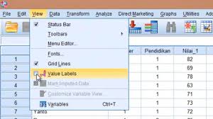 Tutorial Spss Bagian 8 Mengatur Tampilan Data Youtube