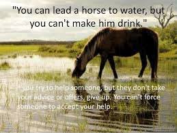 You Can Lead A Horse To Water But You Can T Make Him Drink Water Quotes Healing Quotes Equestrian Quotes