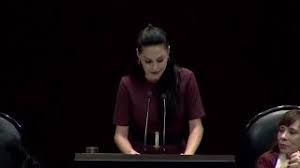 Cámara de Diputados - News update
