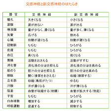 交感神経と副交感神経のしくみとはたらきとは 看護ノート 健康 生理学