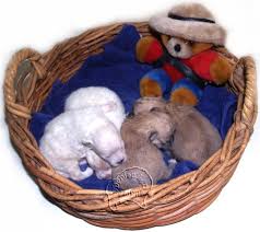 The first few weeks of a puppy's life are crucial. Fading Pomeranian Puppy Syndrome Is There Anything That Can Be Done Pomeranian Puppy Puppies Pomeranian