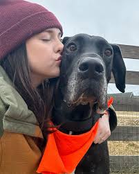 Volunteer Spotlight: A Giant-Hearted Journey from Stephanie Five years ago,  I welcomed my first Great Dane into my home. At a pivotal moment in both of  our lives, we quickly became best