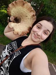 The first time I have seen a huge mushroom growing in my tree...