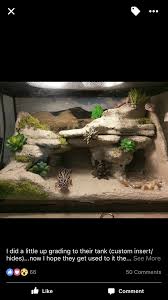 Pin By Terra Song On Leopard Gecko Leopard Gecko Reptile Terrarium Gecko Terrarium