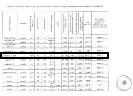 Incepand cu 1 martie 2018, salariile de baza ale personalului care ocupa. Media Calarasi Incredibil Dar AdevÄƒrat Salariul È™efului It De La Tribunalul CÄƒlÄƒraÈ™i Mai Mare Decat Al PreÈ™edintelui Romaniei