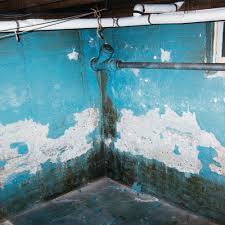 Check spelling or type a new query. Fixing A Wet Basement Greenbuildingadvisor