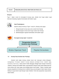 Masuk saja kedai macam kita akan rasa lain sikit. Nota Anatomi Dan Fisiologi