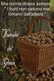 Pin Di Brunilda Jakupi Su Pensiero Dell Giorno Citazioni Proverbi Citazioni Carine