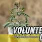 Volunteer Day: Backcountry Planting-  Wind Wolves.... event in Bakersfield, CA