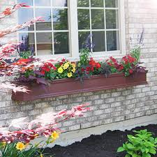 It reaches a height of 1 to 3 feet and makes an excellent centerpiece in the flower box. Charleston Pvc Window Boxes Flower Window Boxes