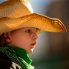 National Western Stock Show brings Old West excitement to modern audiences  in Denver