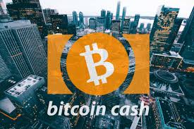 Its current price of $22,732 represents a 118% increase in value over the last three months. Up Or Down Bitcoin Cash Bch Price Prediction For March Invezz