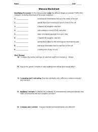 The test is multiple choice, matching, and short answer. Meiosis Worksheets Meiosis Mitosis