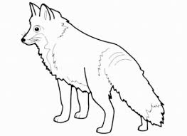 Beginnt mit der rundung des kopfes und der spitz zulaufenden nase. Ausgangssperre Baden Wurttemberg Hochfilzen 39 Malvorlagen Kostenlos Fuchs Ausmalbild