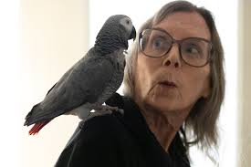 Dynamic Duo: How a Composer and Her Bird Came to Make Beautiful Music  Together