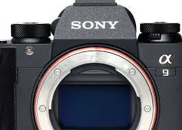Here S How Many Dslrs And Mirrorless Cameras Top Brands Shipped In 2019