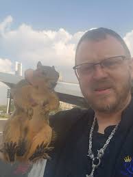 Squirrel caught stealing food