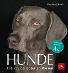 Arbeiter, horch, sie ziehen ins feld und schrein für nation und rasse! das ist der krieg der herrscher der welt gegen die arbeiterklasse; Tierhaltung Michaelsbund