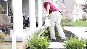 Looking for pest control, termites control or bed bugs control? Champion Pest Termite Control Llc Better Business Bureau Profile