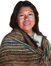 2013 Tribal Consultation Report