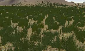 At the most basic level, drawing grass is just a mark on the paper. The Great Grass Dilemma Unity Forum