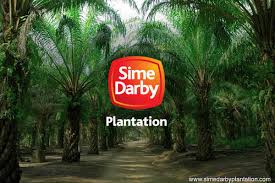 Sime darby plantation berhad entity with fitch analyst adjusted financials as featured on fitch ratings. Sime Darby Plantation Shares Drop On News Of Resignations The Edge Markets
