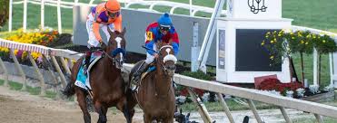 Rombauer romped to an upset victory in the preakness on saturday, denying kentucky derby winner medina sprint the chance at a triple crown. Preakness Stakes 2021 Win Place Show Exacta Trifecta And Superfecta Picks Sportsline Com