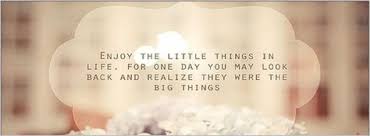 Enjoy The Little Things In Life For One Day You Ll Look Back And Realize They Were The Big Things Enjoy The Little Things In Life For One Day You May Look Back And Realize They Were The Big Things Special Quotes Fb Cover Photos Summer Quotes