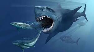 Megalodon (otodus megalodon), meaning big tooth, is an extinct species of shark that lived approximately 23 to 3.6 million years ago (mya), during the early miocene to the pliocene. Hunger Brachte Urzeit Riesenhai Den Tod Grosster Hai Der Erdgeschichte Starb Wegen Beutemangel Und Starker Konkurrenz Aus Scinexx De