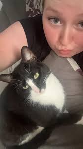 Missing Cats In Fife