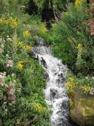Picture Of Royal Botanic Garden Edinburgh Edinburgh Botanic Gardens Edinburgh Gardens Of The World Garden Pictures