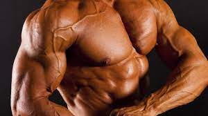 Steroids have become the easy option for time poor white collar  professionals | Daily Telegraph