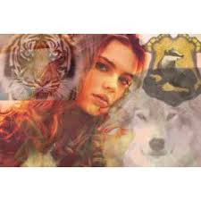 Rosa Huber Mann Stories