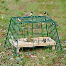 Schutzkafig Maxi Fur Bodenfresser Damit Katzen Und Raubvogel Nicht Dran Kon Schutzkafig Maxi Fur Bodenfresser Small Garden Birds Bird Garden Garden Boxes Diy