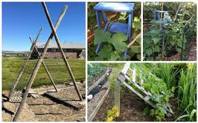 Why do i use twine for the trellis? Clever Diy Cucumber Trellis Ideas Garden Lovers Club