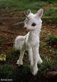 Pin De Simal Unver Em Cute Animais Bebes Bichinhos Fofos Animais Bebes Mais Fofos