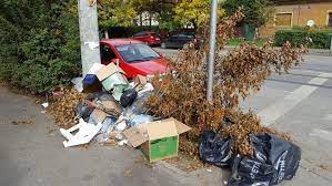 Incepe Curatenia De Primavara La Timisoara Programul De Colectare Tion