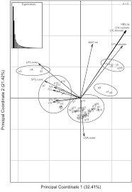 Image result for Polystachya calluniflora