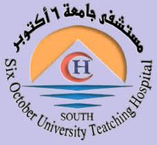 October 6 university is the first private university in the arab republic of egypt. O6u University