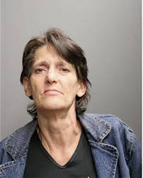 ᐅ Illinois Criminal Records 2009-2026