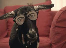 funny goat gifs | WiffleGif