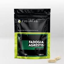 Image result for Fadogia