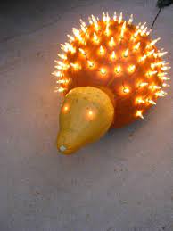 Public drinking water is not available. Hedgehog Pumpkin Use A Power Drill To Make Holes For Christmas Lights Creative Pumpkin Decorating Halloween Diy Crafts Pumpkin Lights