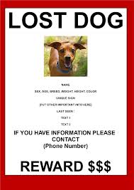 Find Lost Dog Poster In A3 Size Download This Help Find A Lost Dog Poster Template If You Are Looking For A Missing Dog Losing A Dog Losing A