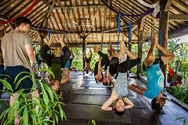 incredible bali yoga cles the best