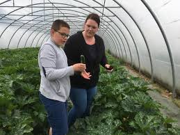 Agriculture Ou Cueillir Ses Fruits Et Legumes Dans Le Douaisis