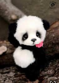 Pin By Flying Cupcake On Nado Kupit Cute Stuffed Animals Cute Panda Baby Super Cute Animals