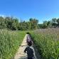 Discover Dodge Nature Center Open House