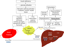 Diabetic ketoacidosis (dka) is a complication of diabetes. Management Of Diabetic Ketoacidosis In Children And Adolescents With Type 1 Diabetes Mellitus Springerlink